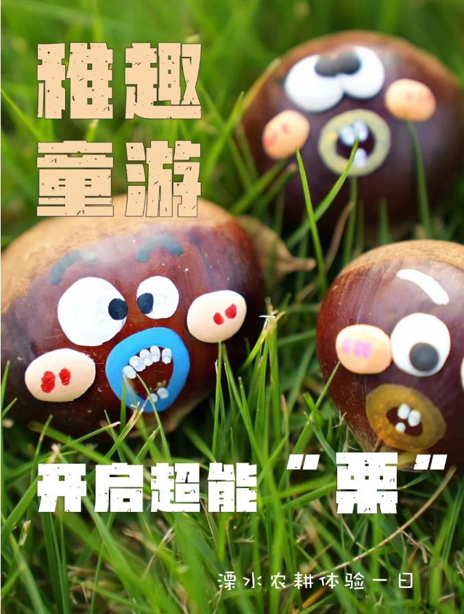 研途皆秋景，恰是采栗時——農耕體驗一日研學活動